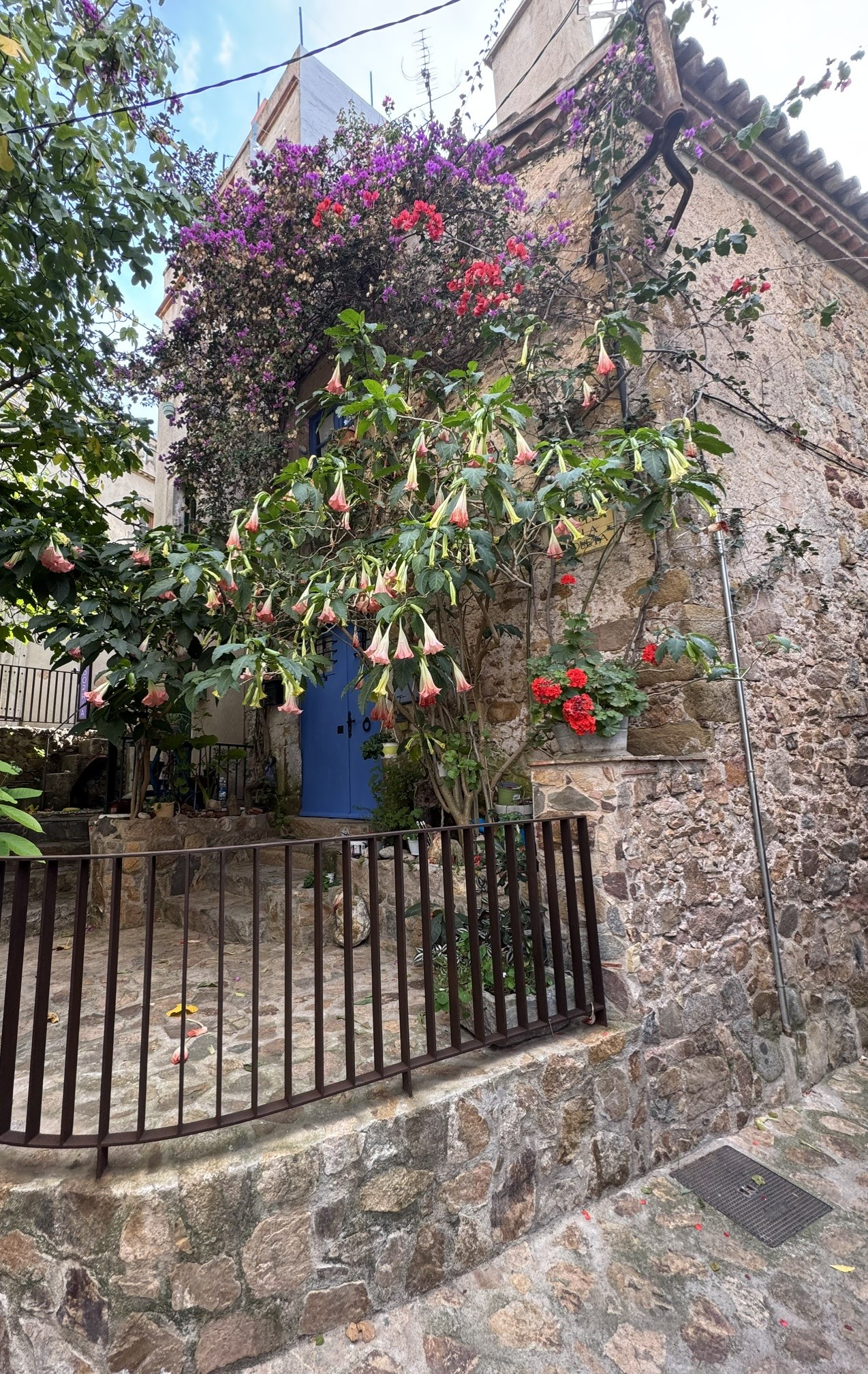 Tossa de Mar smala gränder hus med blommor